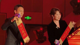 精品久久久久久国产免费了